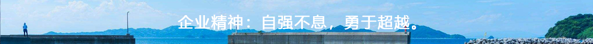 安徽水利建筑,安徽瑞豐工程科技集團有限公司